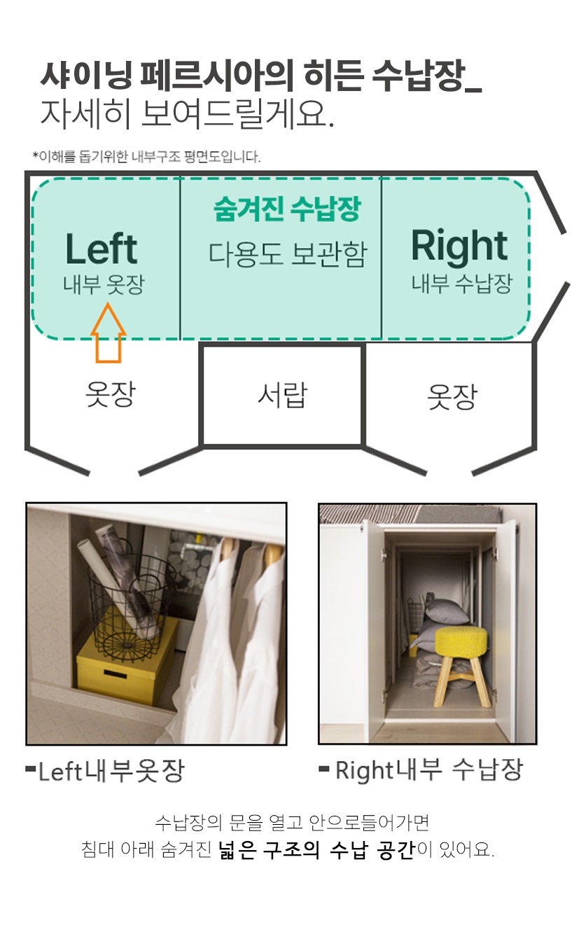 샤이닝 페르시아